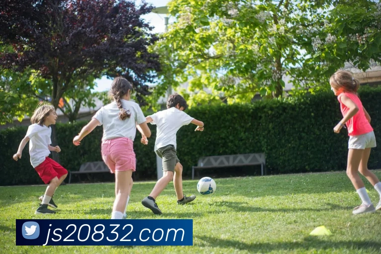 多媒体互动体验